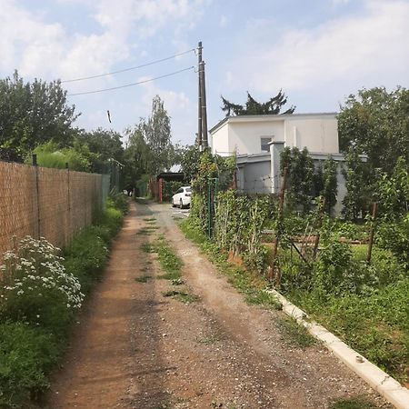 Apartmán Dům v Brně Brno Exteriér fotografie