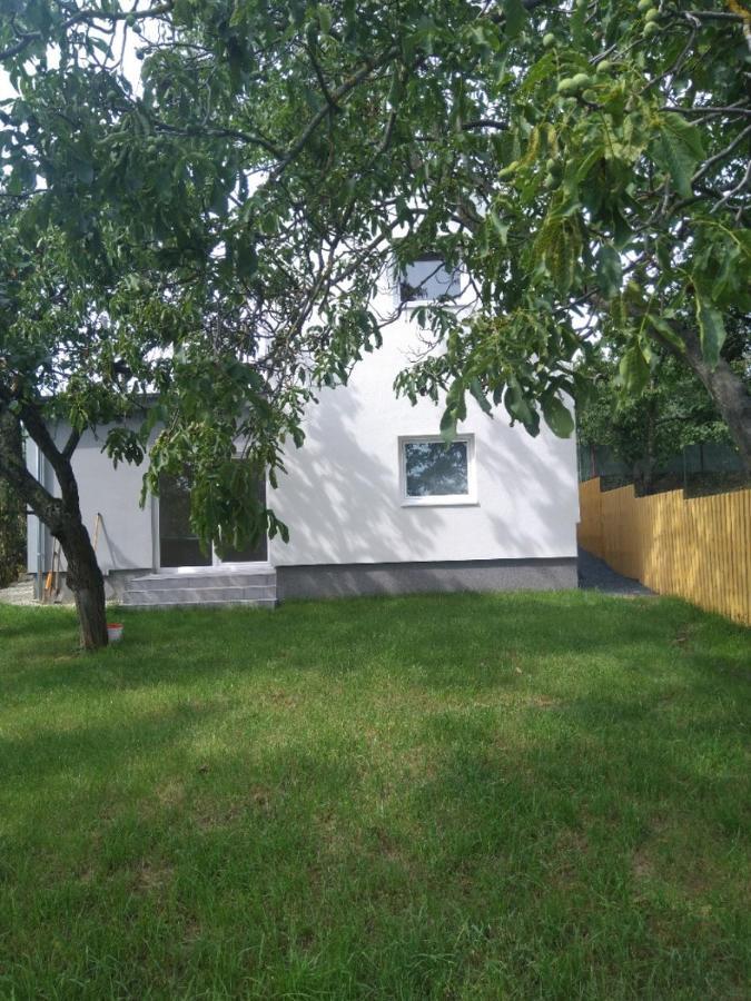Apartmán Dům v Brně Brno Exteriér fotografie